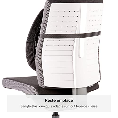 Support dorsal Fellowes 8026401 ergonomique noir pour chaise
