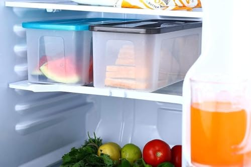 Image of TASMAX Fridge Storage Boxes, Plastic Fridge Containers, Fridge Accessories Items, (LUMI FRIDGE CONTAINER 6SET)