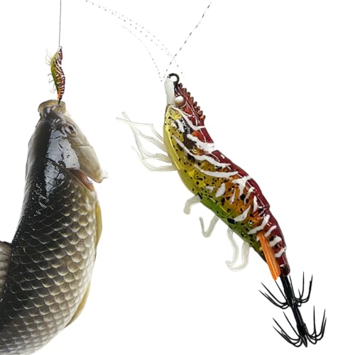 CJGM - ނ胋A[ | Gr`CJWOtbN,AEghAECEWEE΁ErExɁEƑEނ