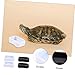 Yardwe 10Pcs Lizard Water Bowl Gecko Food Dish Durable Feeding Bowls for Reptiles for Turtles Lizards and More Inward Design Prevents Food Escape