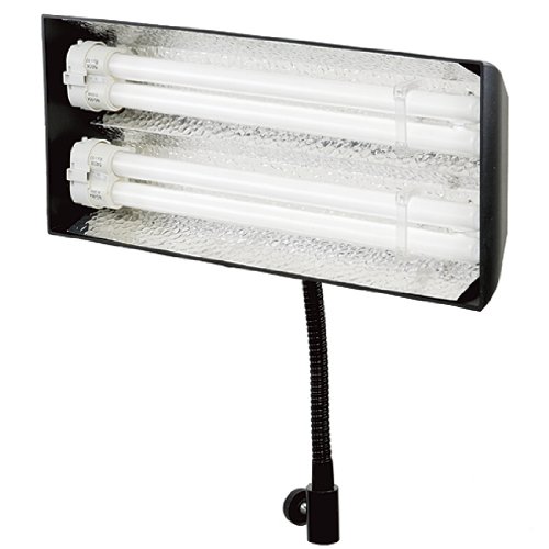Amazon | 蛍光灯ボックスライト FL-48W | 定常光ライト 通販