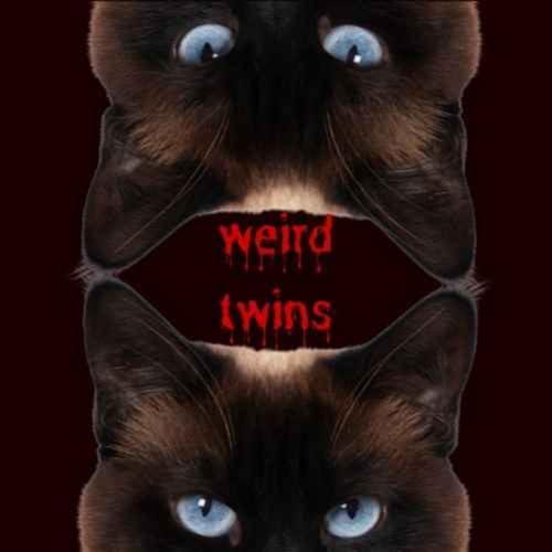 Weird Twinz cover art