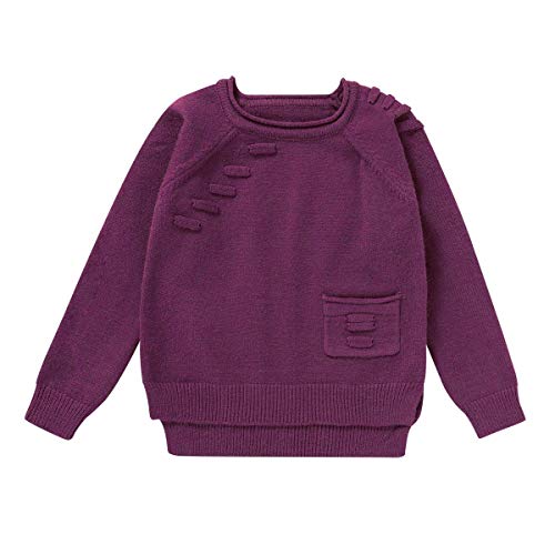 Toddler Baby Cotton Pullover Sweater Tops Kids Fall Winter Knit Sweater Solid Color Clothes 1-5T (Purple-Pocket, 3-4 T)