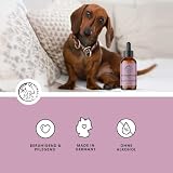 Annimally Augenpflege Plus - Natürlicher Augenreiniger für Hunde & Katzen, mit Euphrasia & Rosenwasser, 30 ml