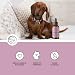 Annimally Augenpflege Plus - Natürlicher Augenreiniger für Hunde & Katzen, mit Euphrasia & Rosenwasser, 30 ml