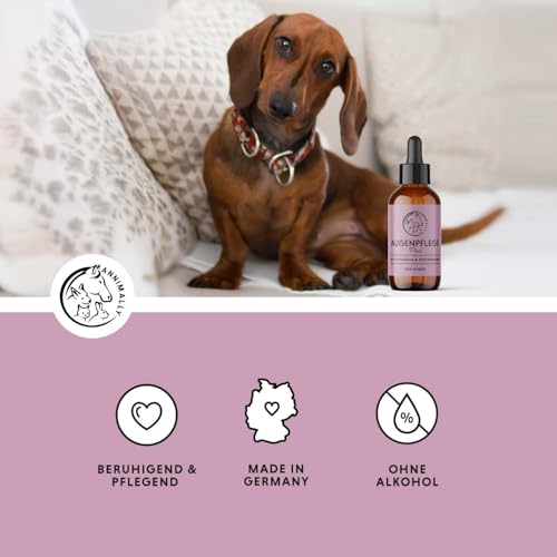 Annimally Augenpflege Plus - Natürlicher Augenreiniger für Hunde & Katzen, mit Euphrasia & Rosenwasser, 30 ml