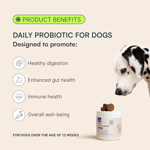 Wuffes Daily Probiotic for Dogs - Supports Digestive Health, Gut Balance, and Immune System - with Prebiotics, Marshmallow Root, and Pumpkin Powder - 60 Soft Chews - Thumbnail 2