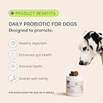 Wuffes Daily Probiotic for Dogs - Supports Digestive Health, Gut Balance, and Immune System - with Prebiotics, Marshmallow Root, and Pumpkin Powder (120 Chews (Pack of 2)) - Image 2