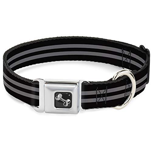 Collier chien Buckle Down rayures pour balade urbaine et éducation M
