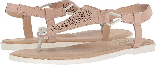 Sperry Top-Sider Calla Jade Sandal Women's