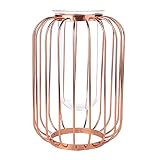 Florero Maceta, Jarrón De Hierro Transparente Simple Para La Tienda De La Oficina En Casa Para El Regalo De La Decoración De La Boda(Trompeta de oro rosa)