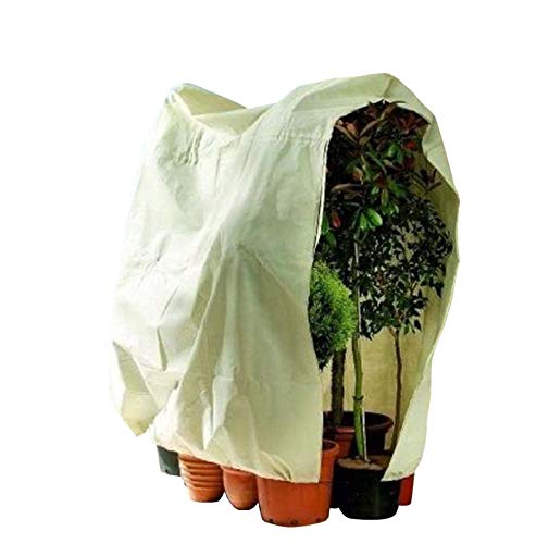 Tenwind Funda para Plantas 180 x 120 cm,Cubierta para Plantas Protecci�n con Cremallera, Protector Plantas delicadas contra heladas, Viento y precipitaciones,para Flores y arbustos,Beige
