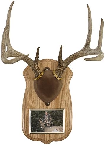 Walnut Hollow Country Deluxe Antler Display Kit with Photo Frame, Oak,Gray