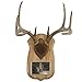 Walnut Hollow Country Deluxe Antler Display Kit with Photo Frame, Oak
