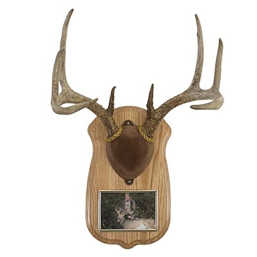 Walnut Hollow Country Deluxe Antler Display Kit with Photo Frame, Oak,Gray