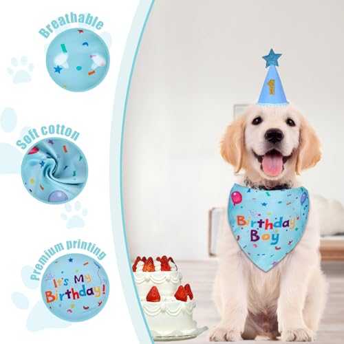 Set de bandana y sombrero cumpleaños para perro Bestac miniatura 2