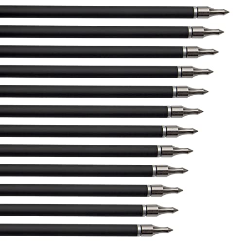 E5E10 31Inch Carbon Arrow Archery Targeting Practice Hunting Arrows For Compound & Recurve Bow With Removable Tips(Pack Of 12) (Blue White) #TOP5