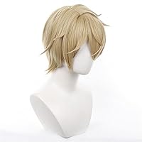 アベンチュリン 崩壊:スターレイル コスプレウィッグ 五次元 崩壊スターレール コスプレ アベンチュリン ウィッグ