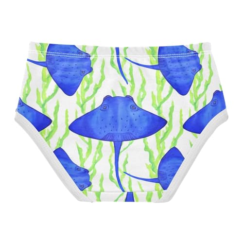 Toddler Girls Underwear 2t Cotton Girl Panties Cute Designer Underpants Briefs Blue Stingrays Fish Green Seaweed2