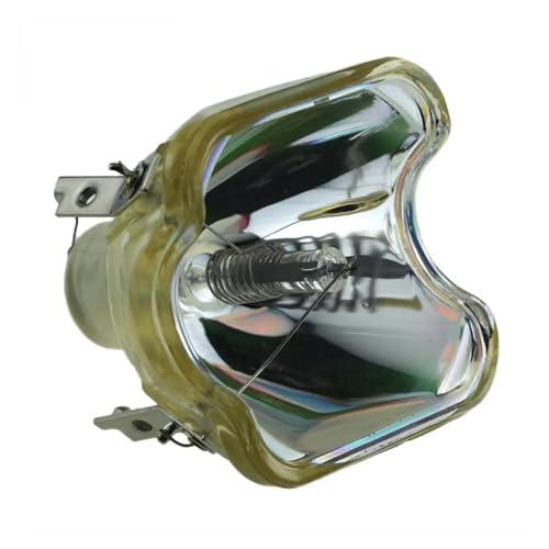 POA-LMP54 / 610-302-5933 610 302 5933/PLV-Z1/PLV-Z1BL/PLV-Z1C �v���W�F�N�^�[�p�����v�̃A�N�Z�T��(POA-LMP54-CB)