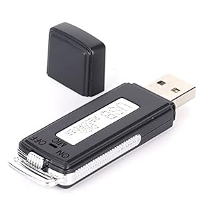 YIFengFurun Usb Flash Drive,Bestandsopslag U Schijf Digitale Draagbare Geheugenstok Met Voice Recorder Functie (4G)