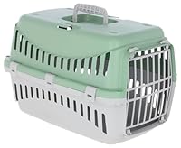 Kerbl Pet Transportbox Expedion, Mint/hellgrau, 45x30x30 cm, Hundebox, Katzenbox, Hundetransport, Kunststoff, kleine Hunde, Katzen