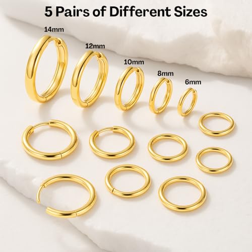 Image of 5 Pairs Hoop Earrings for Women, Golden Hoop Earring Set with Sizes 6mm /8mm /10mm /12mm /14mm, Small Hoops Earrings for Women