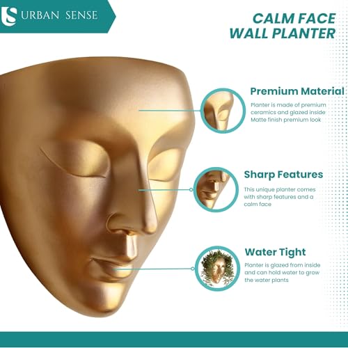 Image of Ceramic Lady Face Wall Hanging Planter (7 Inches, Copper) | Abstract Face Vase for Indoor Plants | Succulent Planter for Living Room, Balcony & Office Decor | Aesthetic Home Decor Gift