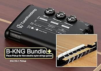 ギター tonewood amp ToneWoodAmp (30$ OFF) – Alexandr Misko