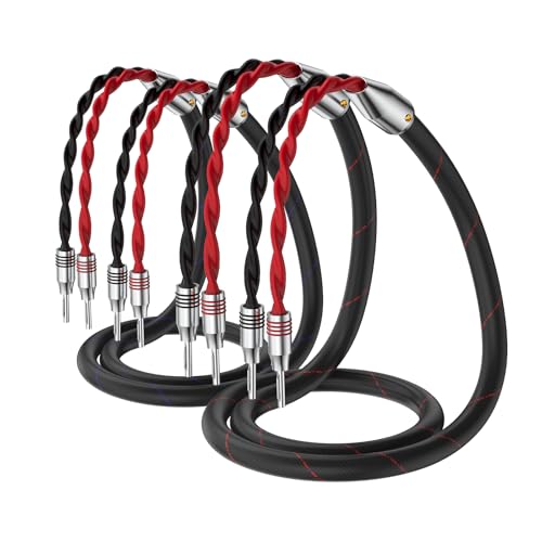 High-End Lautspecherkabel, A Paar Lautsprecherkabel Flexibles Kabel Versilberte Banane Speaker Cable Lautsprecher Kabel mit hochwertigen Bananensteckern für High End Lautsprechersystem (2.5m)