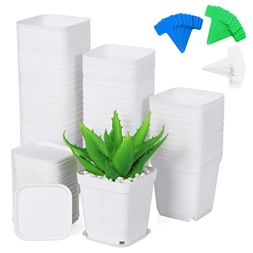 Moendergo Macetas de Plástico, 7cm Macetas de Interior Maceta de Vivero de Plántulas con Platillos para Decoración del Balcón Escritorio Oficina Jardín (Blanco)
