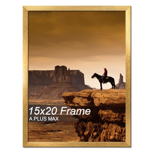 A PLUS MAX 15x20 Picture Frame Gold Light Weight Wall Mount