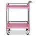 Wózki stylowe wózki warsztatowe w salonie, ruchome wózki na wózek / 2-poziomowy stojak do przechowywania / różowy duży organizer / regał kuchenny, nośność 400 funtów (kolor: Bez szuflady)