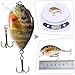 Tuimiyisou Sea Fishing Lures 5PCS Fishing Lures 6cm 15g Mini Wobbler Fishing Lure Artificial Hard Bait Crankbait with Tackle Box for Bass Fishing Tackle,Metal Sequins Spinner Fishing Lures