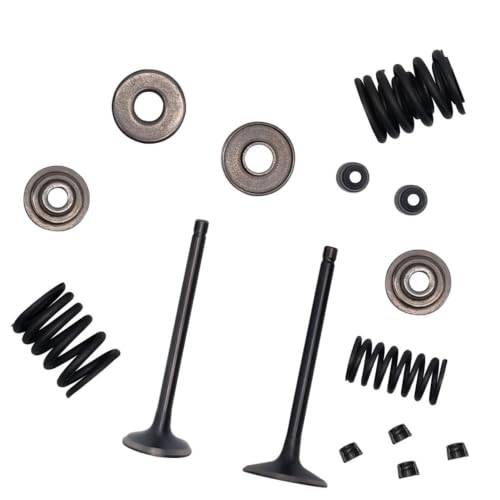 Kit de válvula de reconstrucción de culata compatible con E2 300 T3b 370 T3b LH260 22601