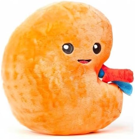 nerdbugs Kidney Plush – Funny Urology Gift, Transplant & Dialysis Recovery Toy, Donor Appreciation, Nephrology Gift for Nurses, Doctors, Med Students, Adults & Kids - Image 8