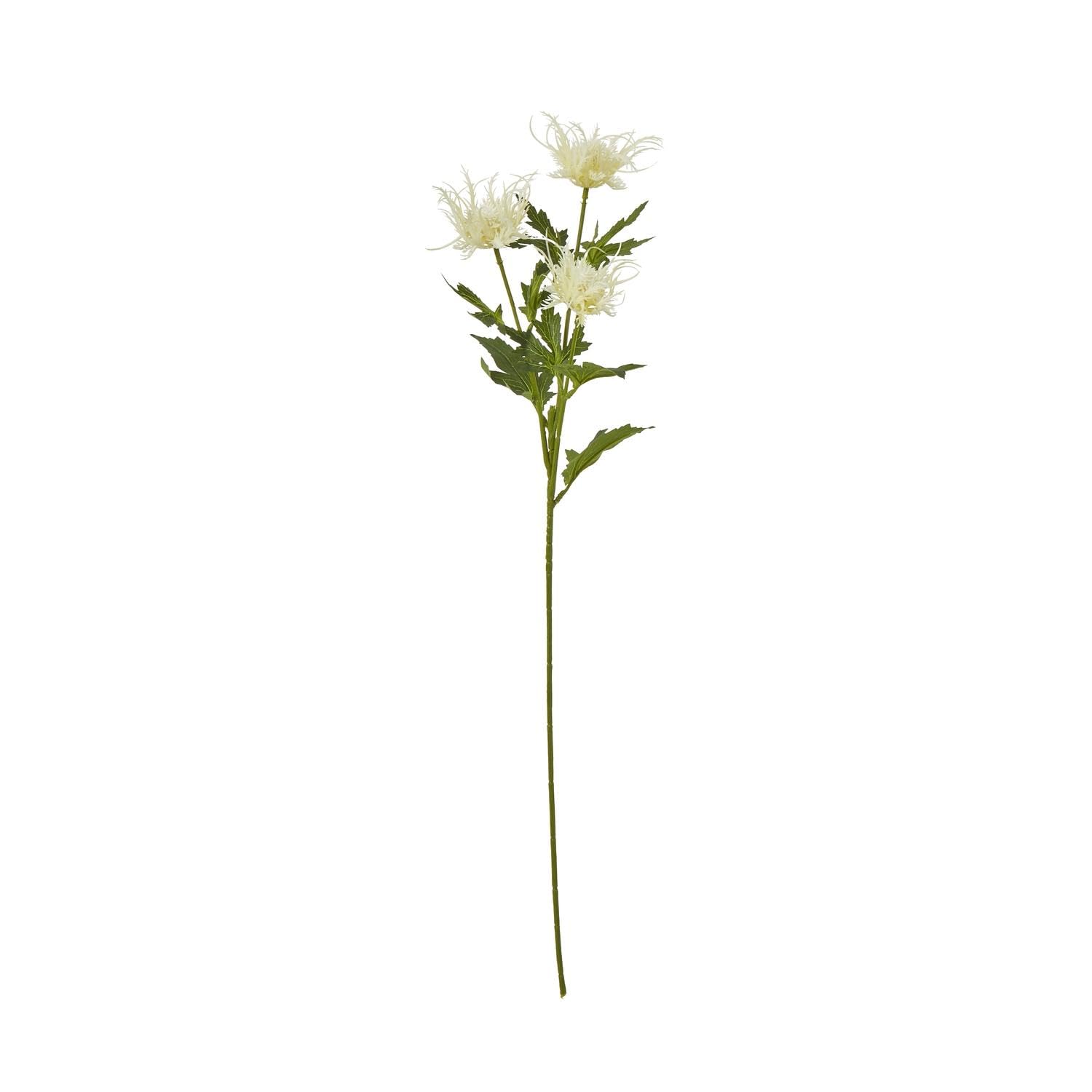 Hill Interiors Sea Holly Spray Artificial Flower (One Size) (Cream)