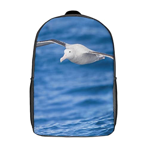 Cartable décontracté Albatross fin des maux de dos pour élèves