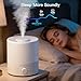 MegaWise Ultrasonic Cool Mist Humidifier | Quiet Operation, Top Fill, Auto Shut-Off | Ideal for Bedroom, Baby Room, and Plants (3.5 L)