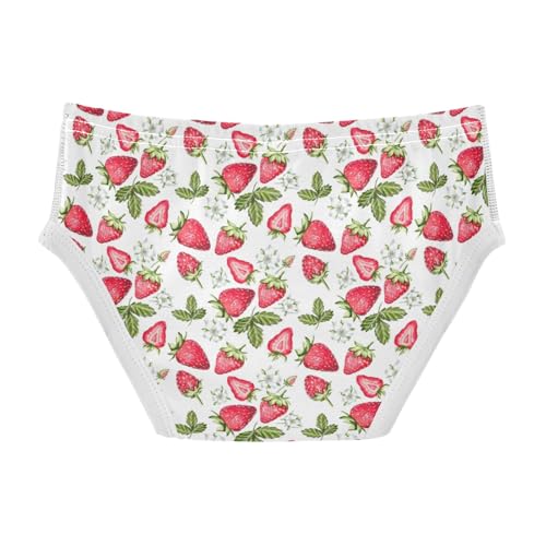 Boys' Exclusive Briefs Toddler Underwear 95% Combed Cotton Boxerbriefs 2T Strawberry Pattern 562