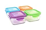 Wean Green Garden Pack Lunch Cubes Glass Food Containers (Grape, Blueberry, Pea, Carrot)