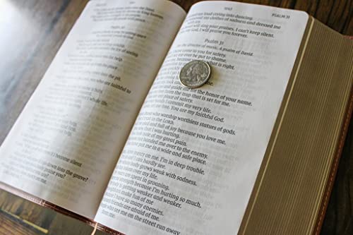 NIrV, Giant Print Compact Bible, Leathersoft, Brown, Comfort Print: New International Reader's Vers