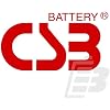 CSB HR1234WF2-12 Volt/9 Amp Hour (34 Watts) Sealed Lead Acid Battery with 0.250 in. Fast-on Terminals - 6 Pack