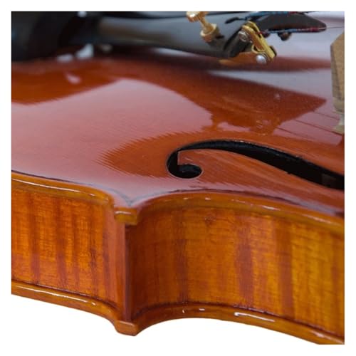 Violon 1/4 débutant avec cordes souples pour éviter la douleur aux doigts - 4