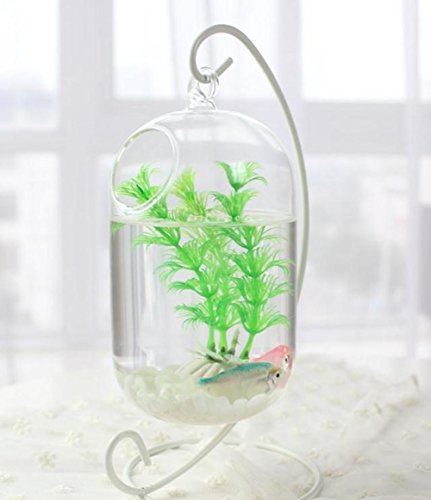 Artliving (6 Pack Ornament Display Stand, White Iron Hanging Stand Rack Holder For Hanging Glass Globe Air Plant Terrarium, Witch Ball, Christmas Ornament And Home Wedding Decoration #TOP5