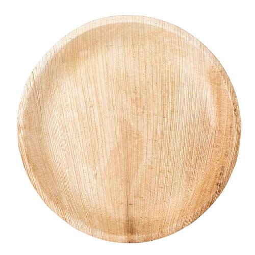 Teller, rund, 23 cm, 25 Stück Cover