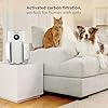 Shark NeverChange Air Purifier — HEPA exceeding filtration for up to 5 years for home, pets, allergies, dust, and smoke up to 650 sq. ft. for bedroom, dorm, nursery, and more. White, HP153 #1