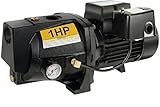 Acquaer Shallow Well Jet Pump,Cast Iron, Well Depth Up to 25ft, 115V/230V Dual Voltage, Automatic Pressure Switch