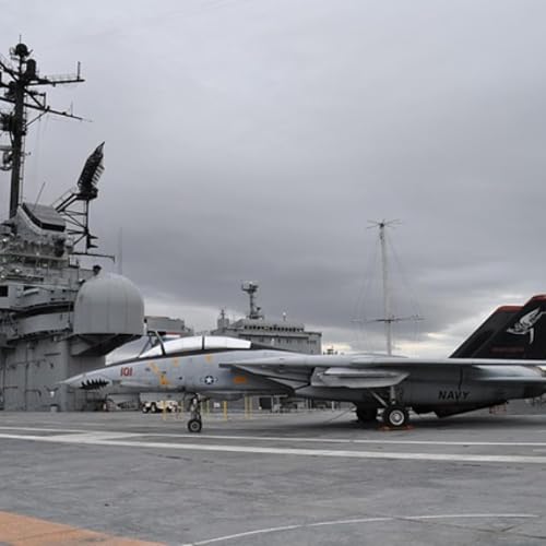 Getting Ready For War! - The Tamar Yonah Show Titelbild