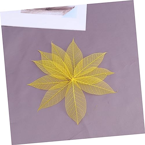 ABOOFAN 150 Peças Flores Secas Prensadas Folhas De Borracha Flores Secas Para Resina Esqueleto Folha